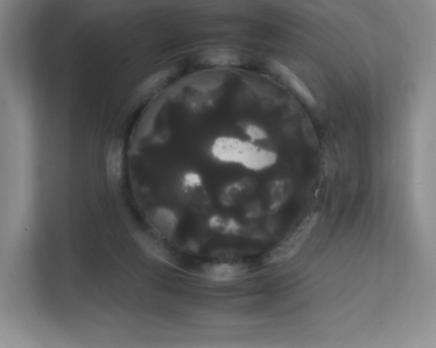 X0000111500163200907211038