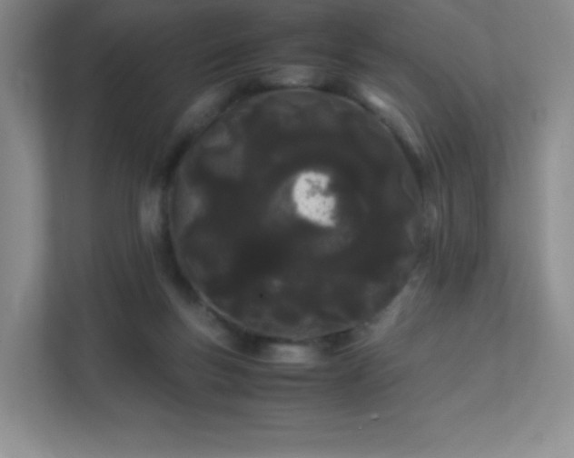 X0000111500167200907211038