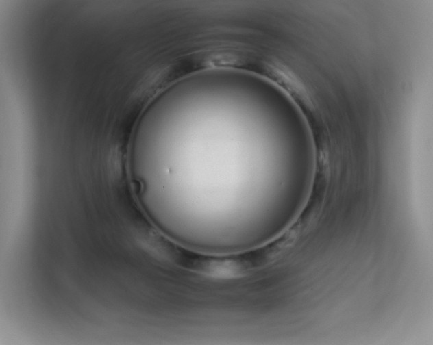 X0000111500169200907211038