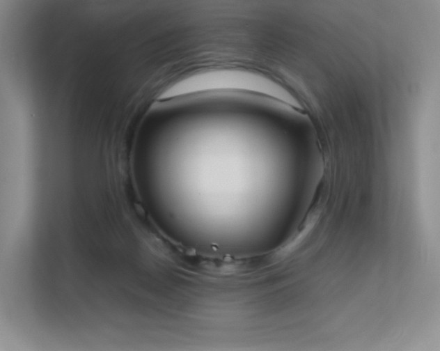 X0000111500170200907211038