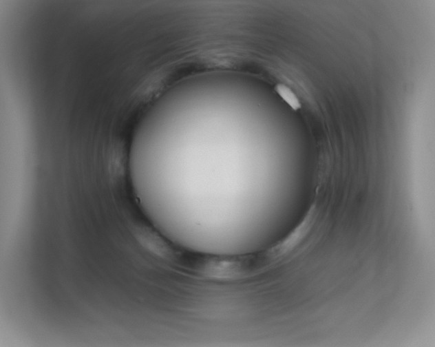 X0000111500174200907211038