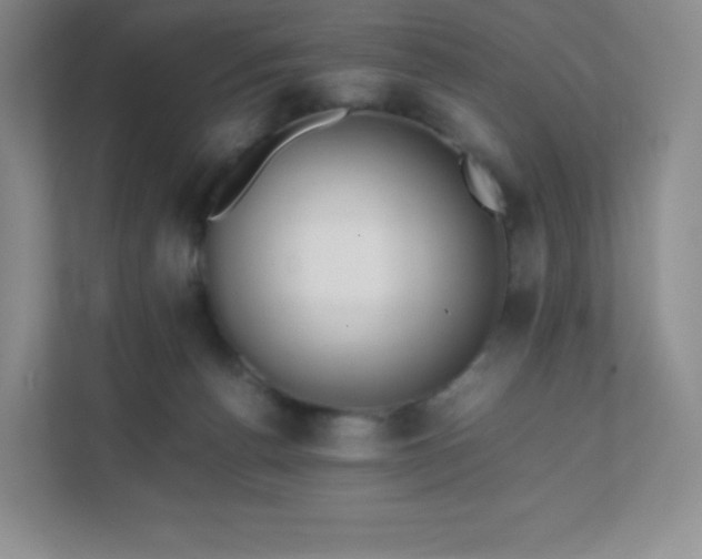 X0000111500176200907211038