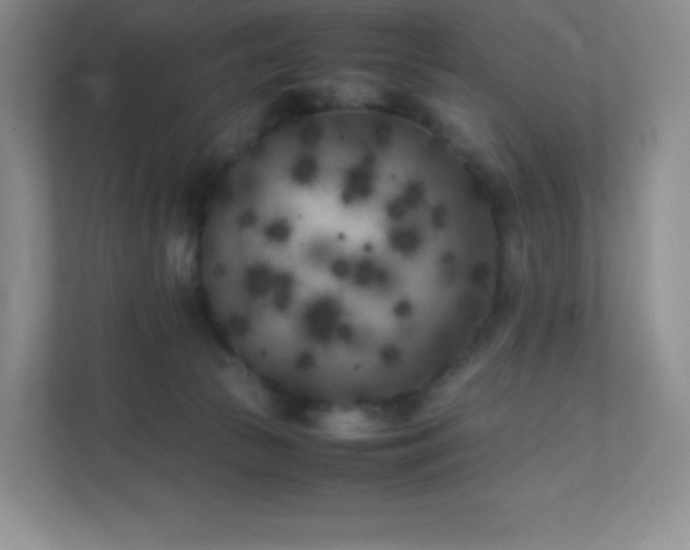 X0000111500177200907211038