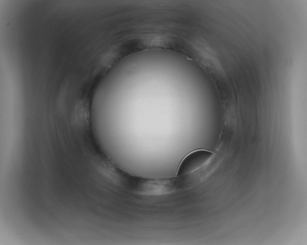 X0000111500179200907211038