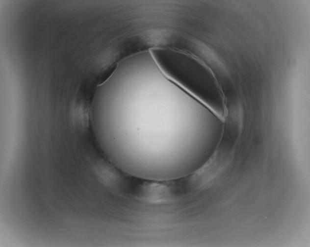 X0000111500180200907211038