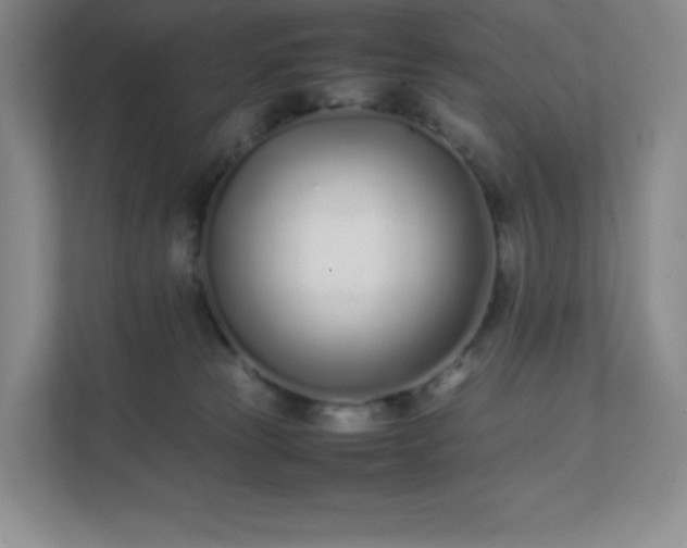 X0000111500181200907211038