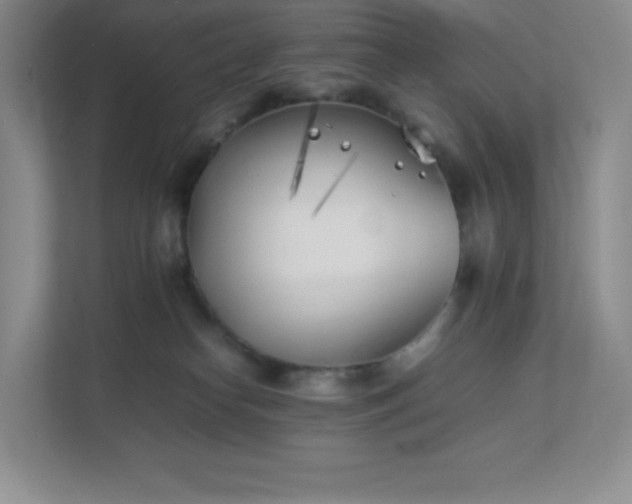X0000111500182200907211038