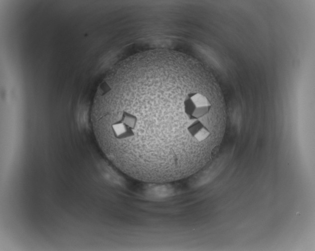 X0000111500185200907211038