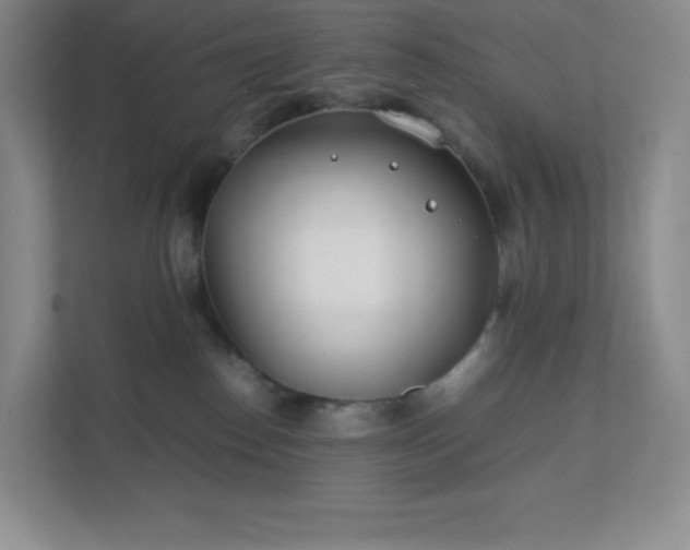 X0000111500186200907211038