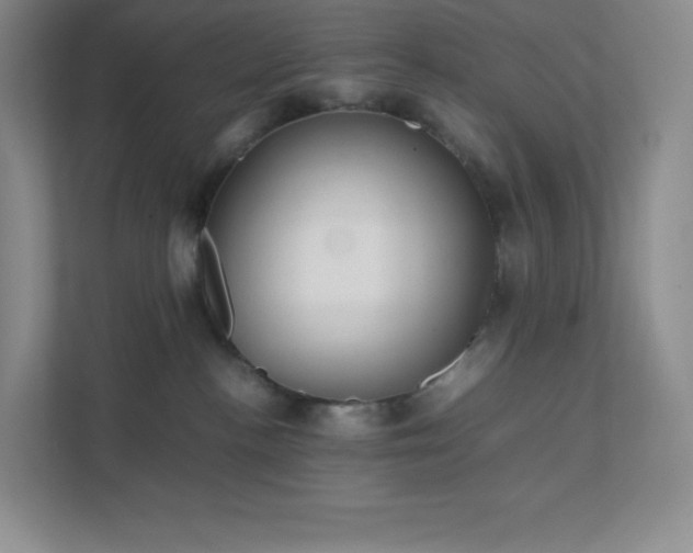 X0000111500188200907211038