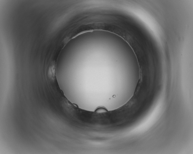 X0000111500190200907211038