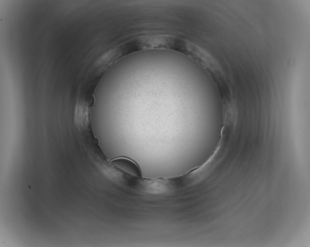 X0000111500191200907211038