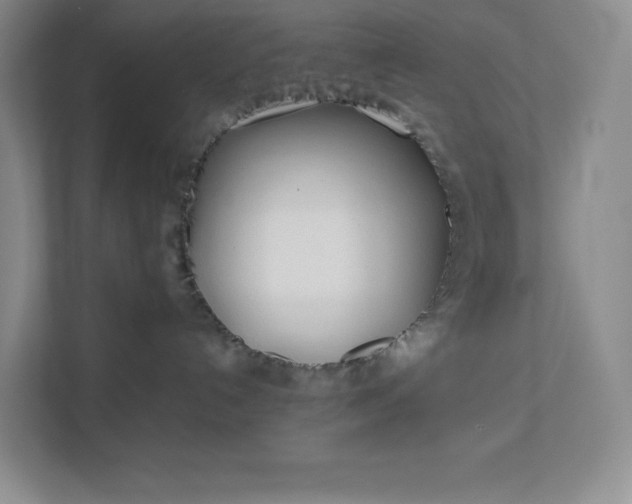 X0000111500192200907211038