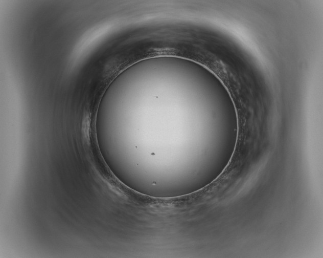 X0000111500194200907211037