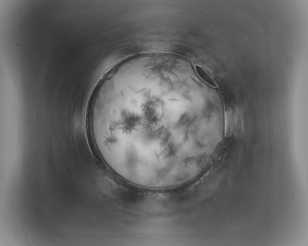 X0000111500195200907211037