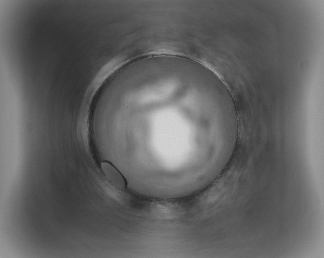 X0000111500199200907211037