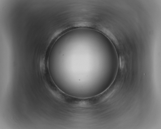 X0000111500204200907211037