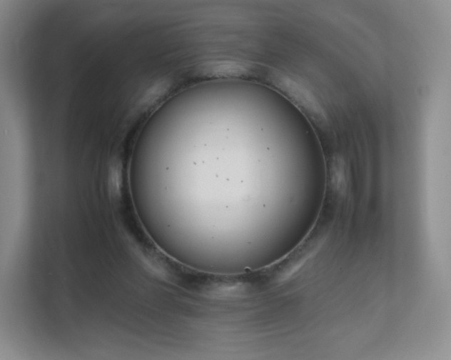 X0000111500206200907211037