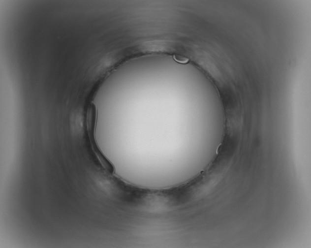 X0000111500207200907211037