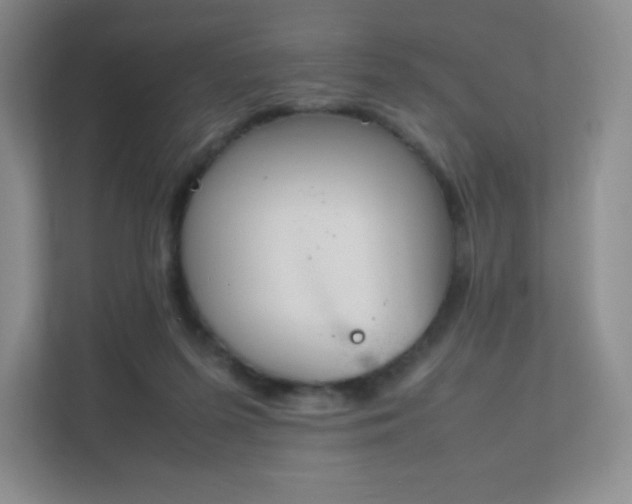 X0000111500215200907211037