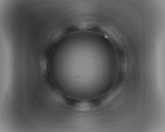 X0000111500219200907211037