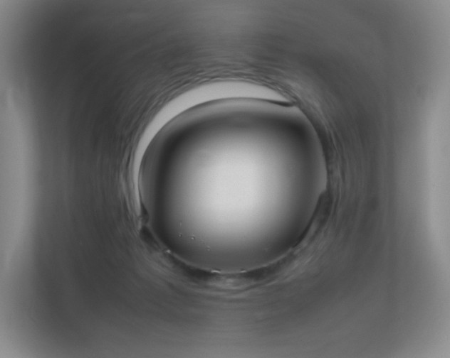 X0000111500221200907211037