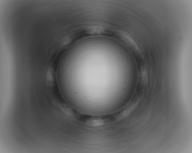 X0000111500228200907211037