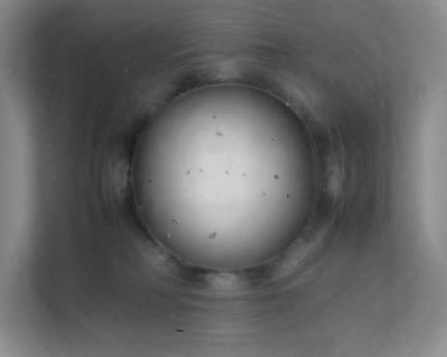 X0000111500230200907211037