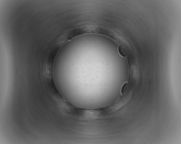X0000111500234200907211037