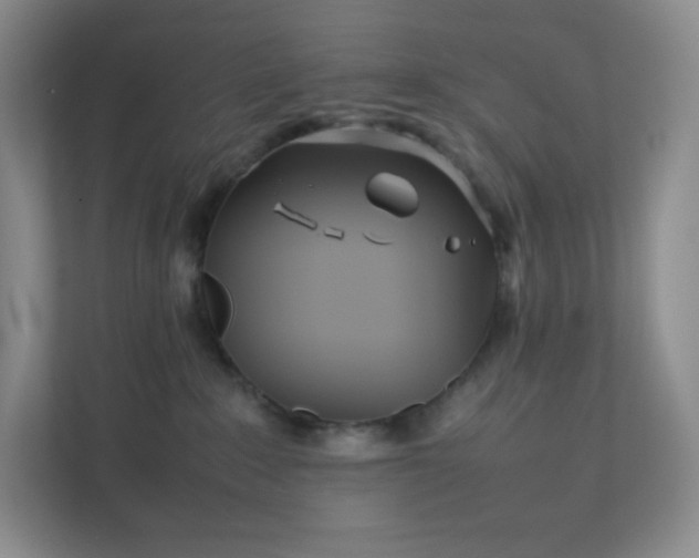 X0000111500235200907211037