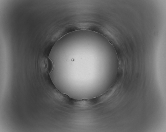 X0000111500237200907211037