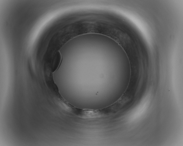 X0000111500239200907211037