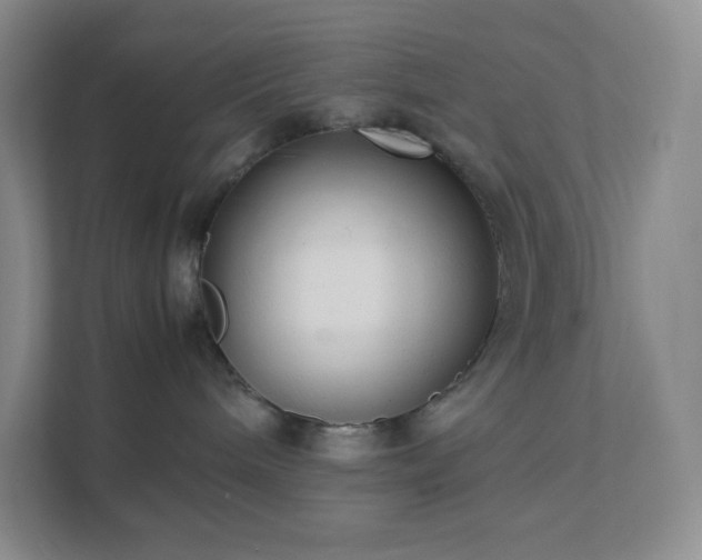 X0000111500240200907211037