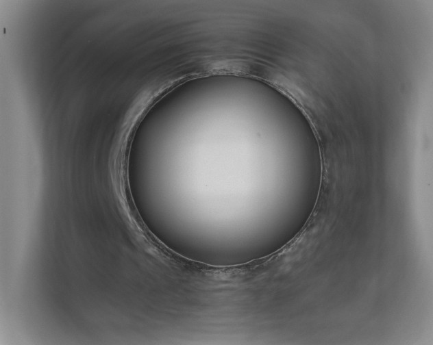 X0000111500241200907211036