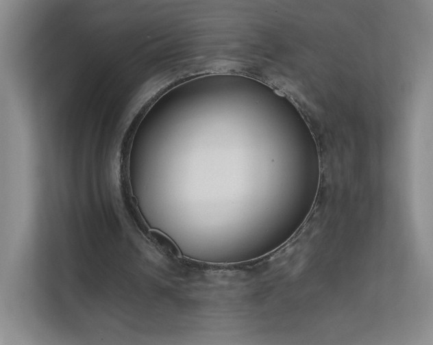 X0000111500242200907211036