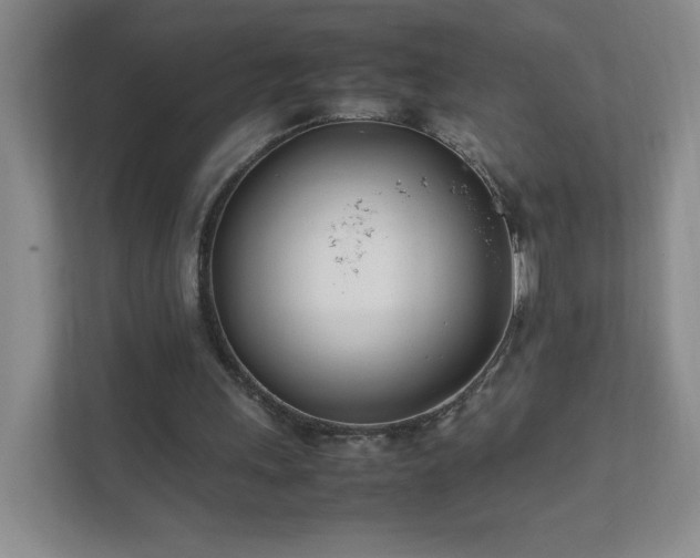 X0000111500243200907211036