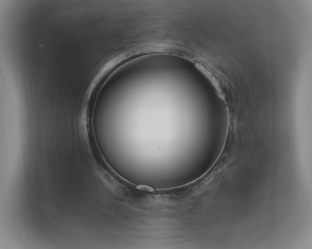 X0000111500244200907211036