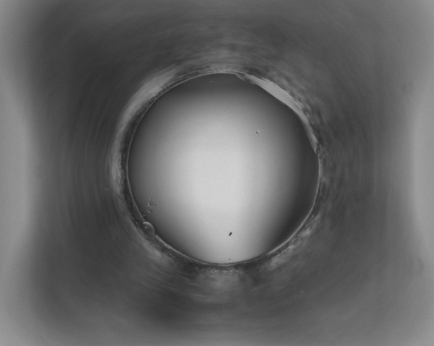 X0000111500245200907211036