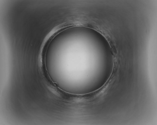 X0000111500246200907211036