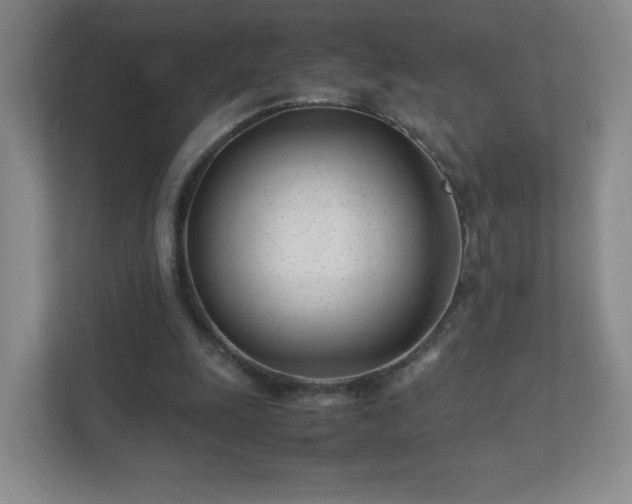 X0000111500247200907211036