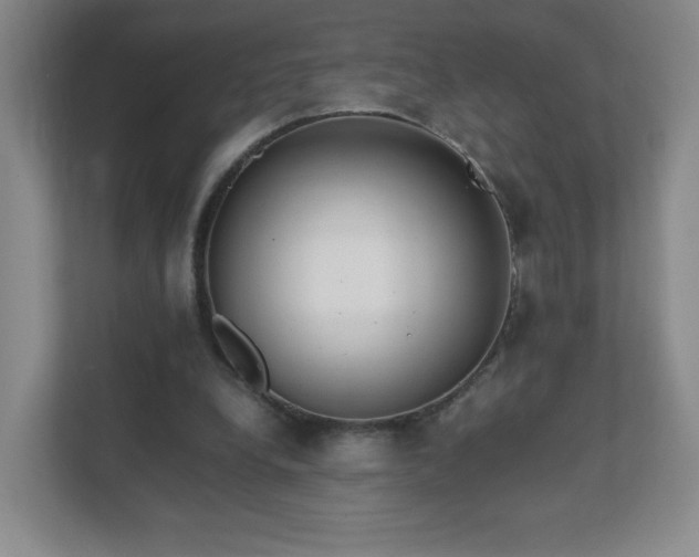 X0000111500248200907211036