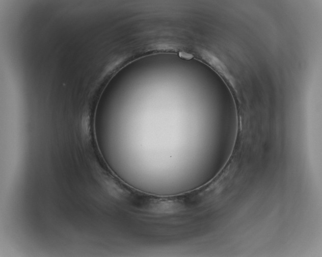 X0000111500249200907211036