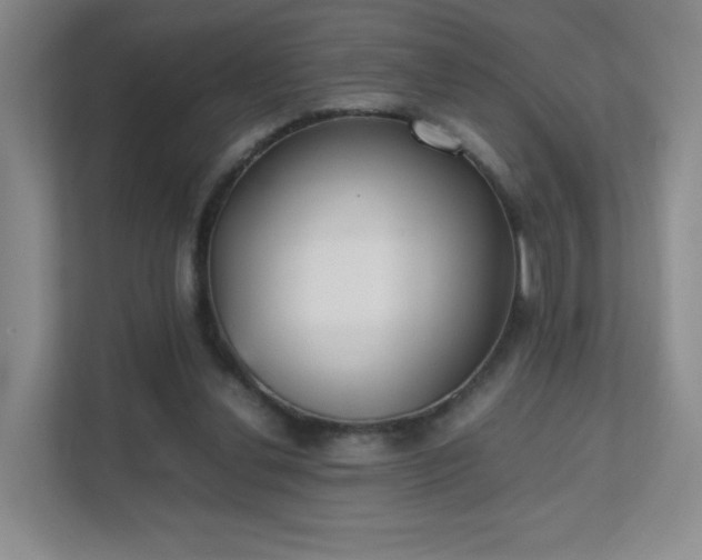 X0000111500252200907211036