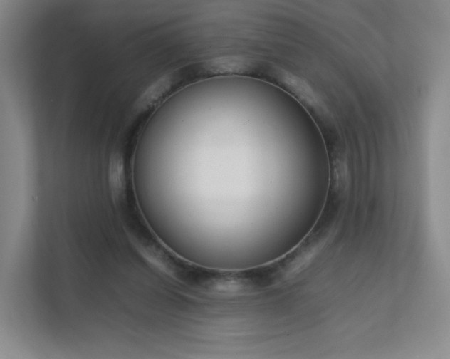 X0000111500254200907211036