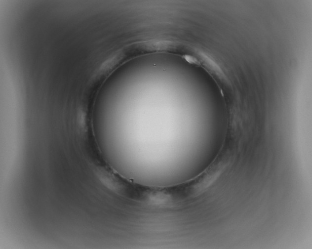 X0000111500258200907211036