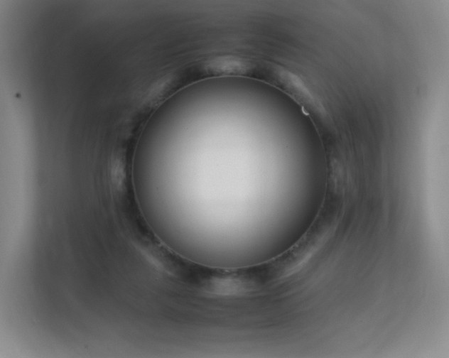 X0000111500259200907211036