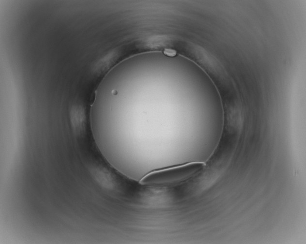 X0000111500260200907211036