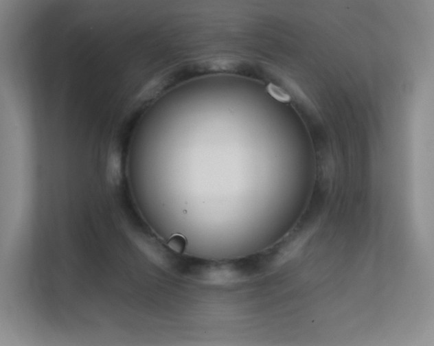 X0000111500262200907211036