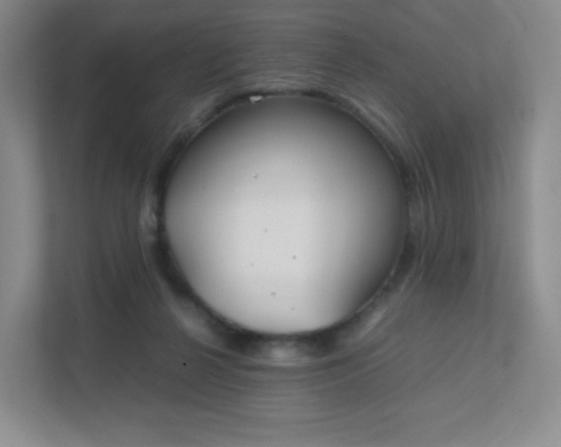 X0000111500264200907211036