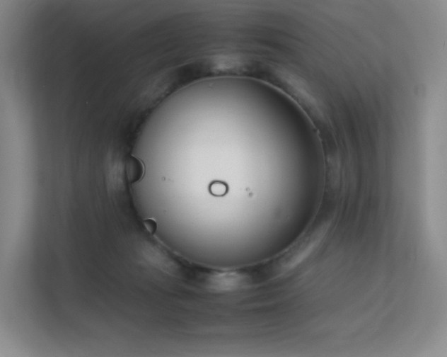 X0000111500269200907211036